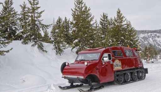Red snow bus driving down a snowy road lined with green trees.