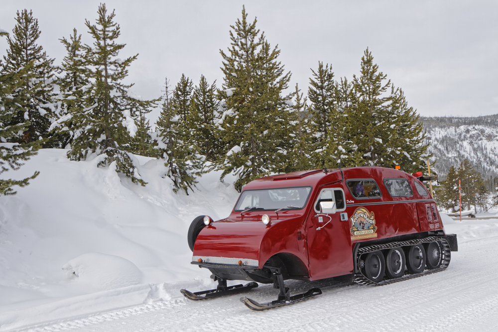 Red snow bus driving down a snowy road lined with green trees.