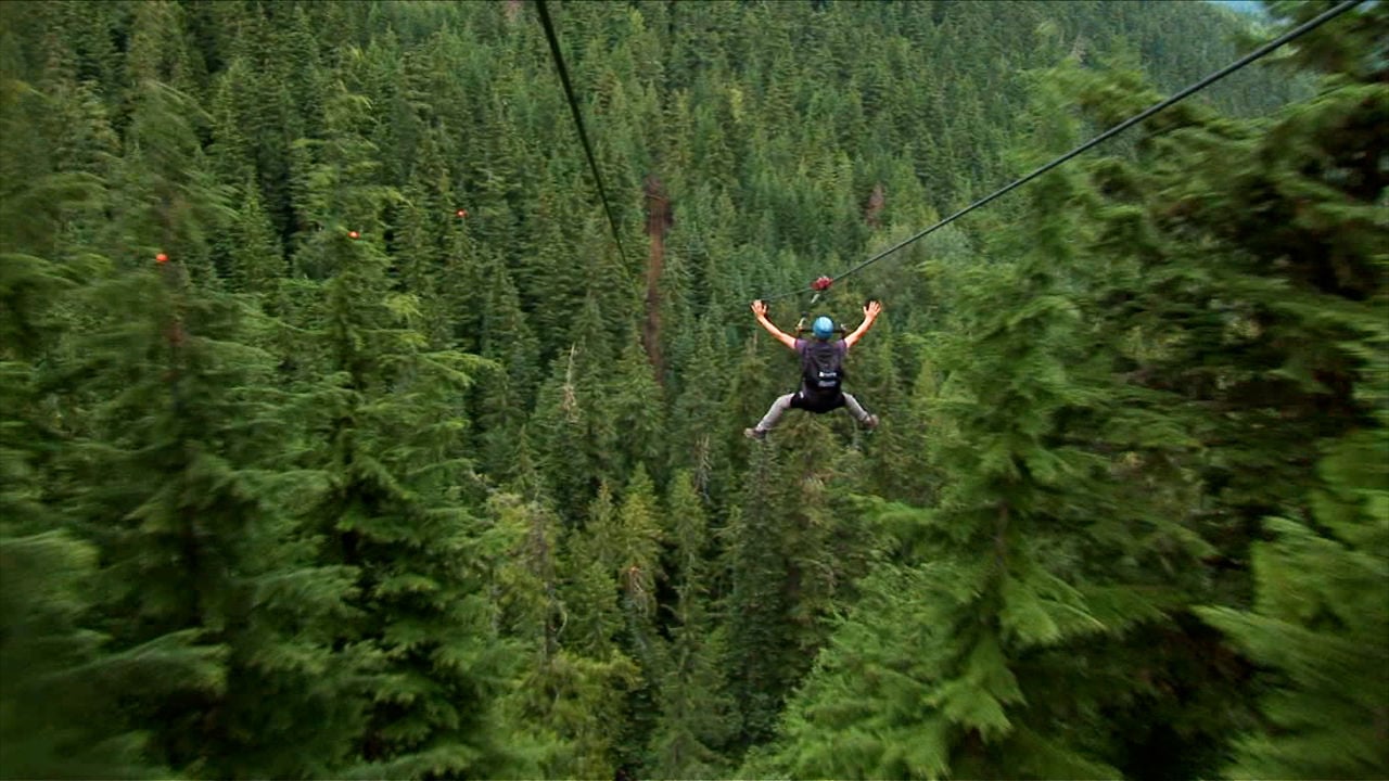 Person zip-lining over a forest