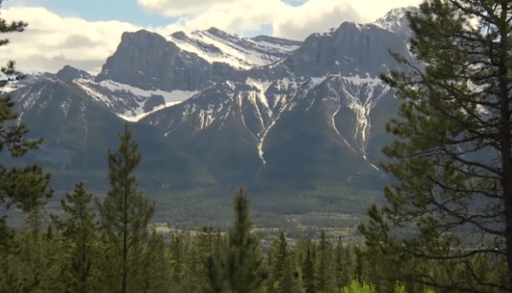 bedroom design ideas