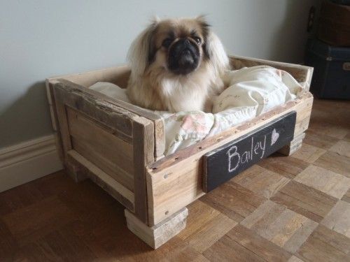 Cozy pet bed