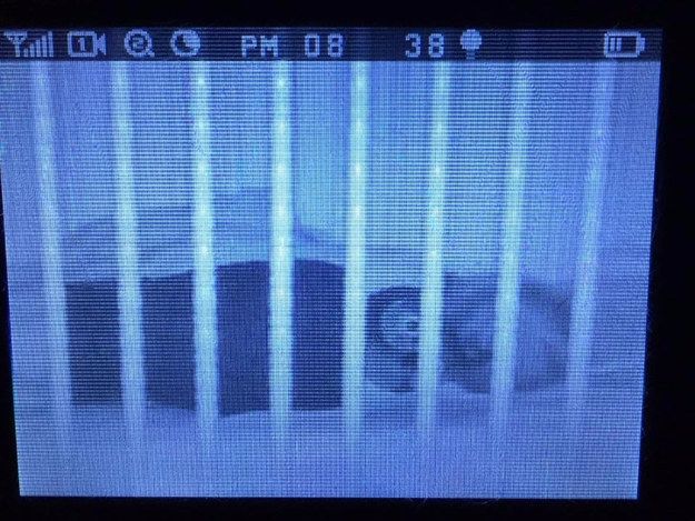 Image of toddler and owl on baby monitor