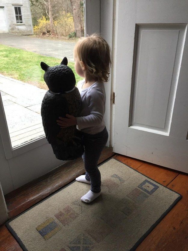 Sylvie and Whootie look out the screen door