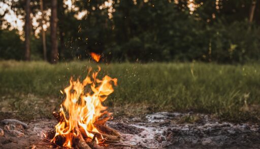 A campfire burning next to a grassy field and forest.