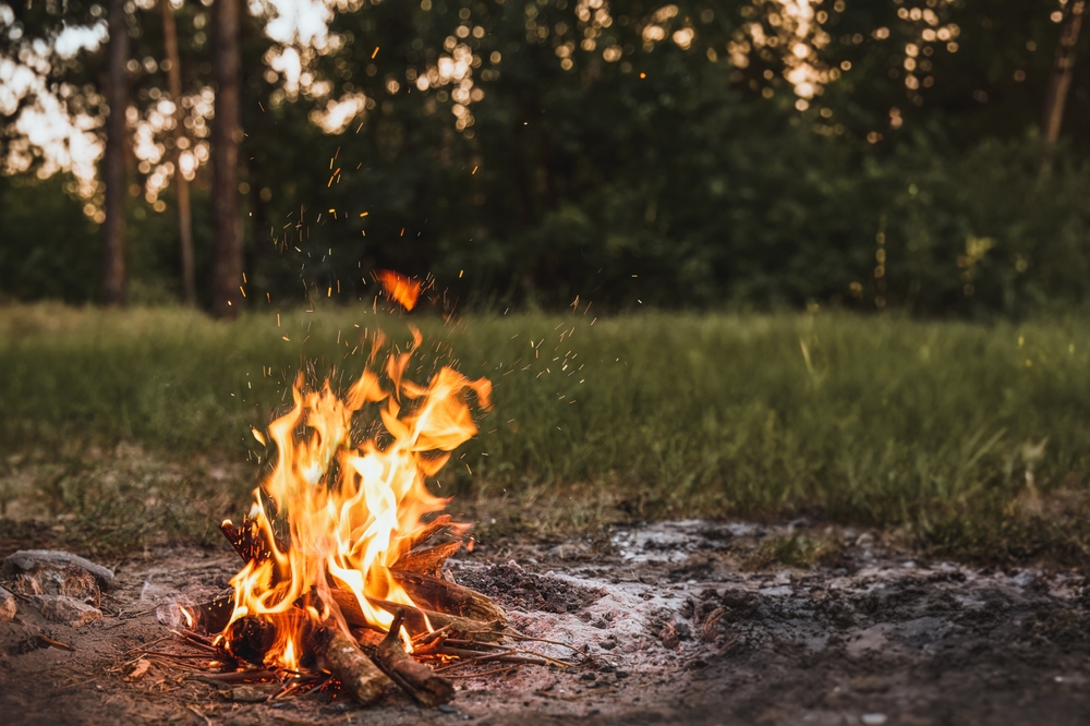 A campfire burning next to a grassy field and forest.