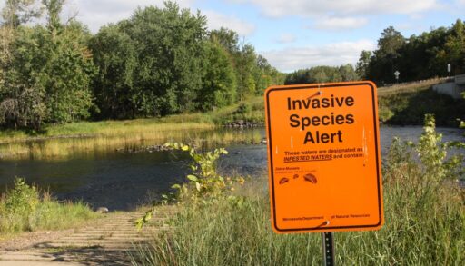 Neon orange sign that reads "Invasive Species Alert" on the shore of a lake.