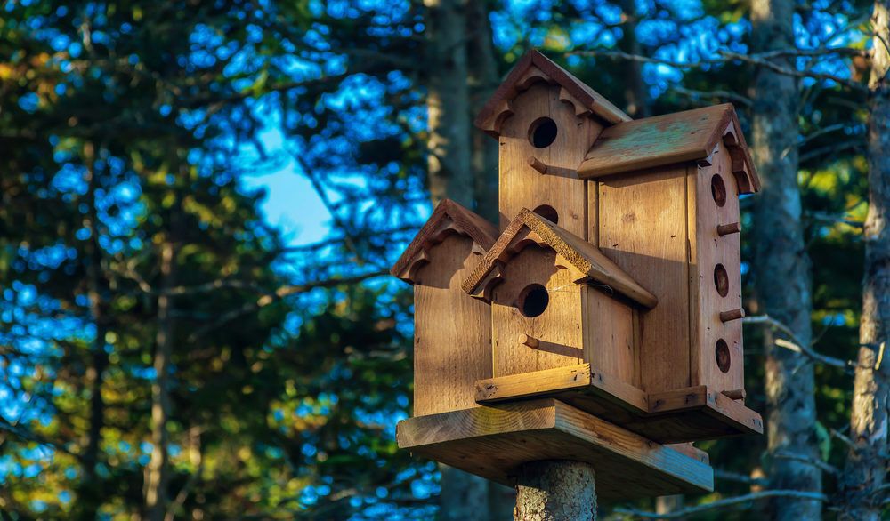 A multi-level birdhouse surrounded by trees.