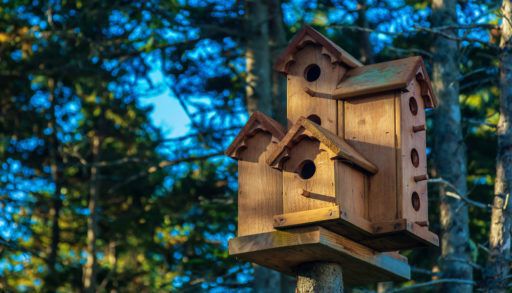A multi-level birdhouse surrounded by trees.