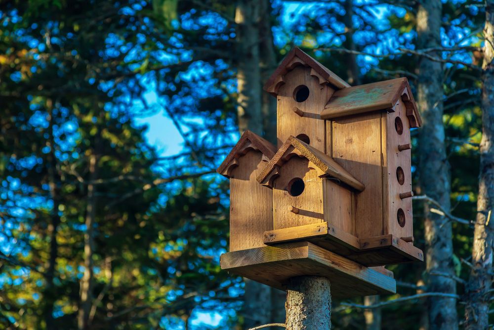 A multi-level birdhouse surrounded by trees.