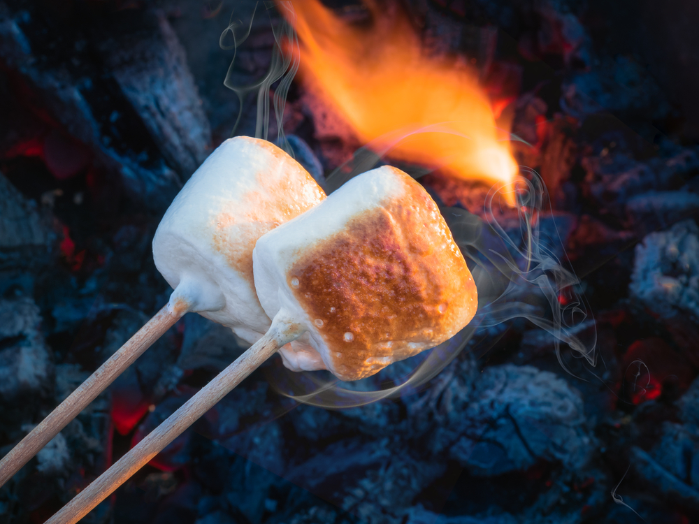 Close-up of two marshmallows being roasted over a campfire.