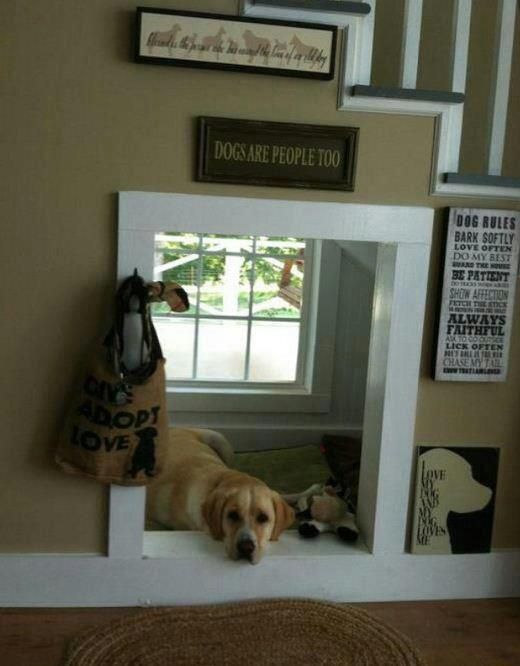 Pet space under the stairs