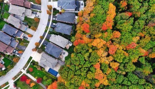 Aerial view of a neighbourhood with autumn trees surrounding.