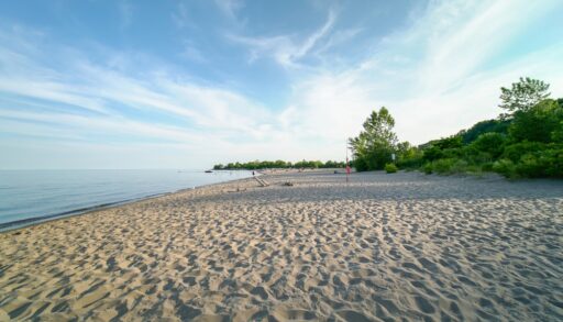 Shore of Lake Ontario. Sand and blue water and a couple of green trees.