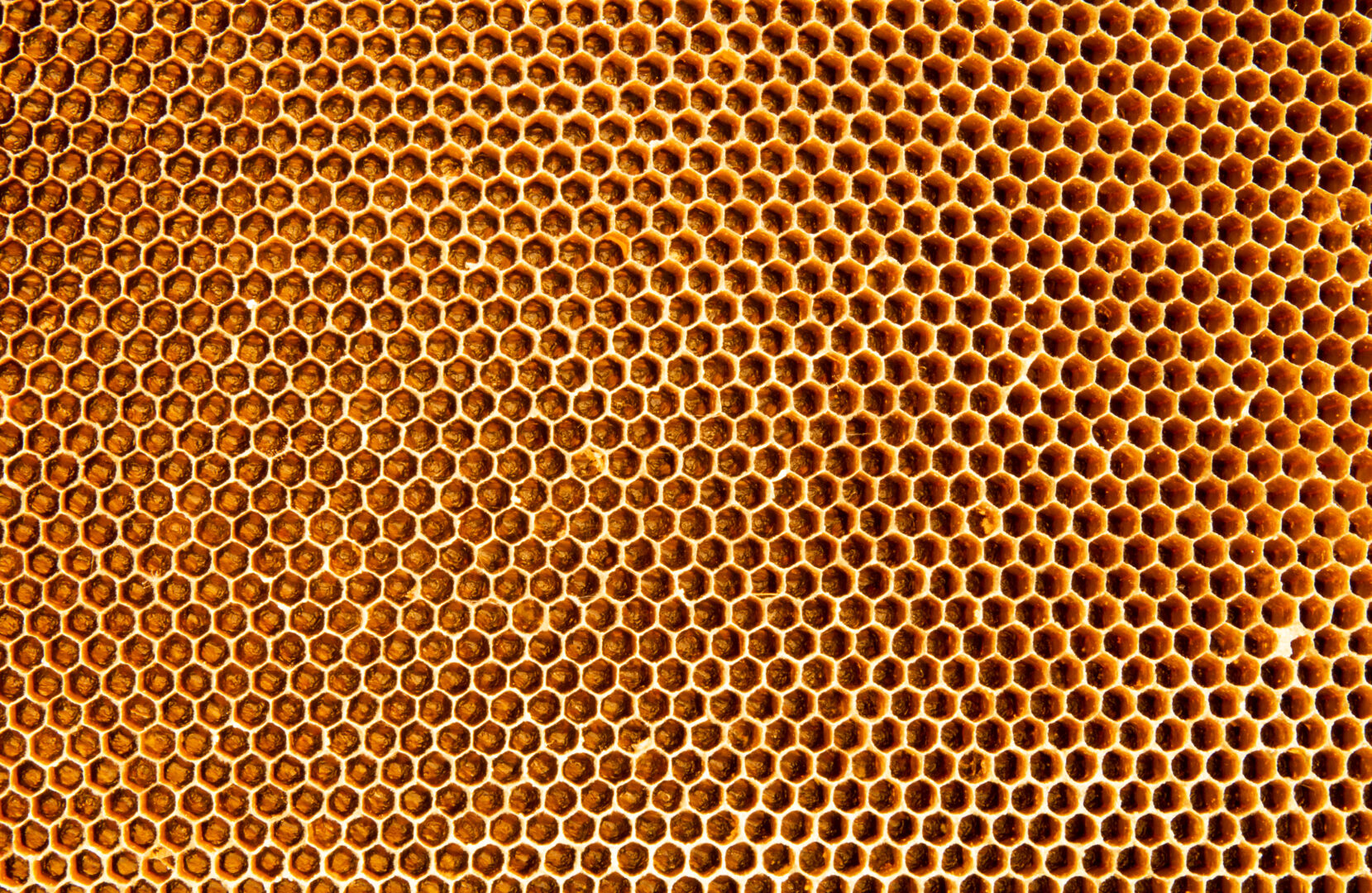 Wall of honeycombs