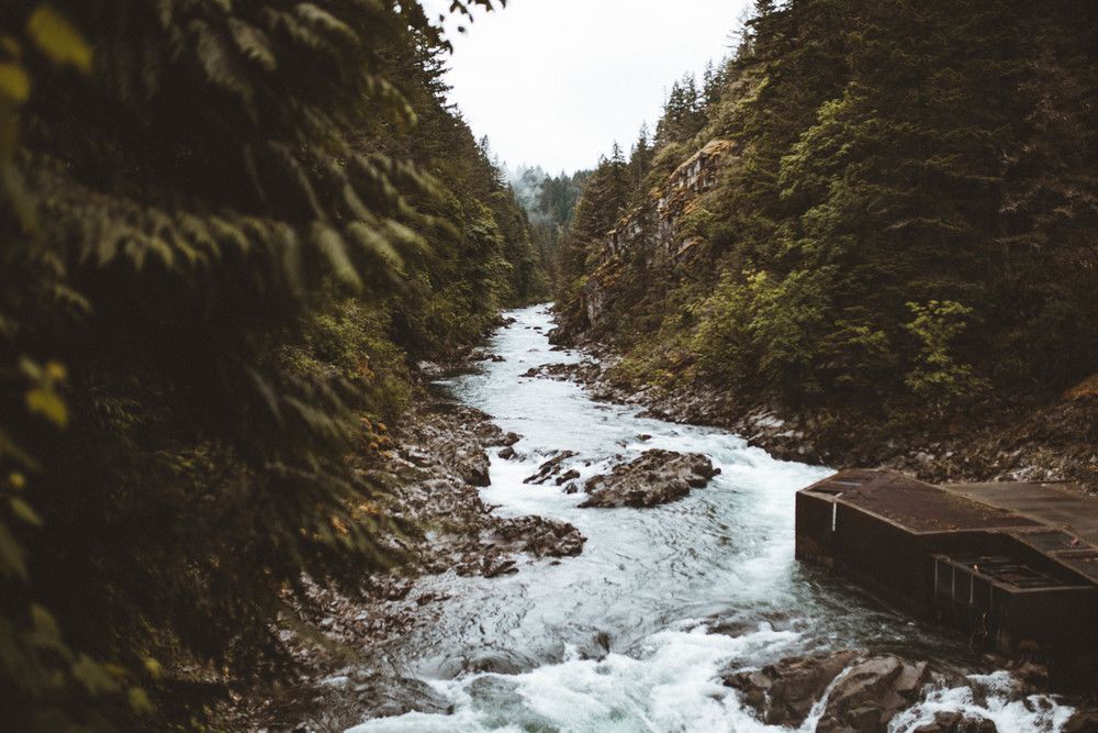 A stream through woods