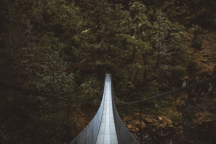 A suspension bridge