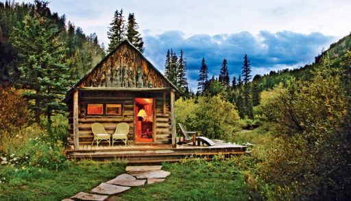 Cabin in wooded field