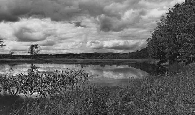 clouds over a marsh