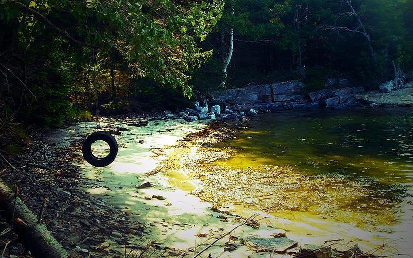 Tire swing at swimming hole