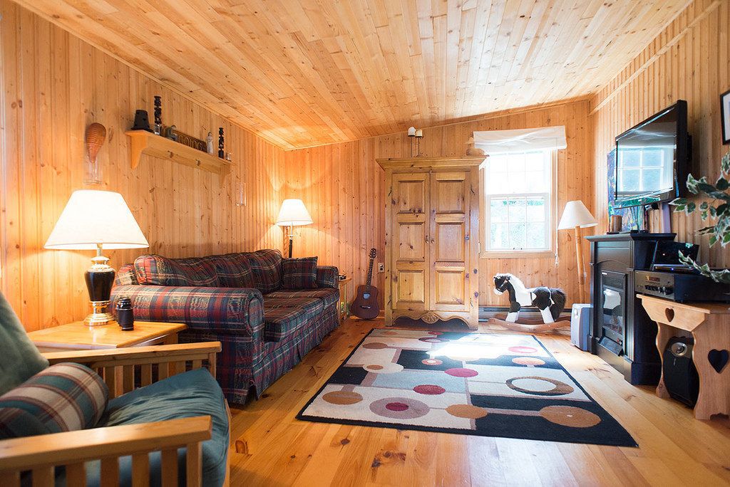 Wood-paneled living room