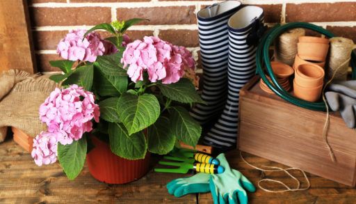 Gardening supplies next to a pink flowered plant on a wooden deck.