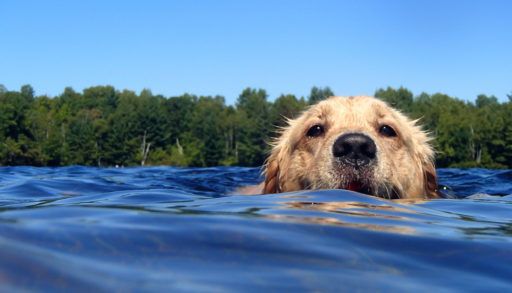 She love playing catch