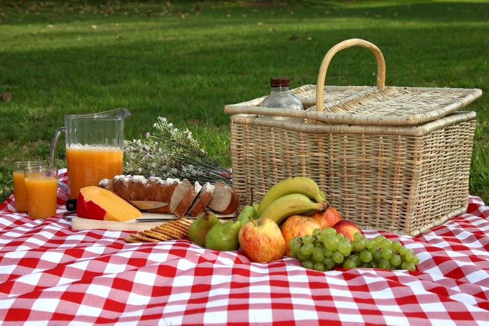 picnic blanket and food