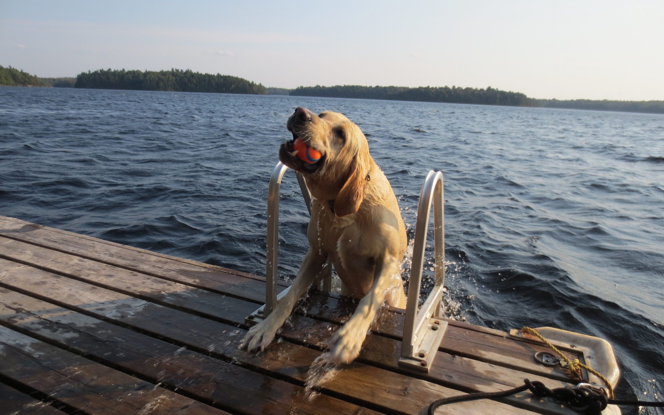 He thinks he's people!