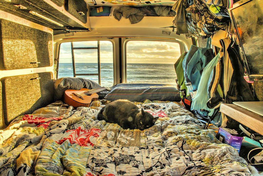 cat sleeping in camper van