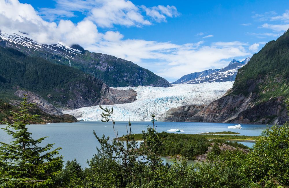 Alaska glacier surrounded by a forest landscape.