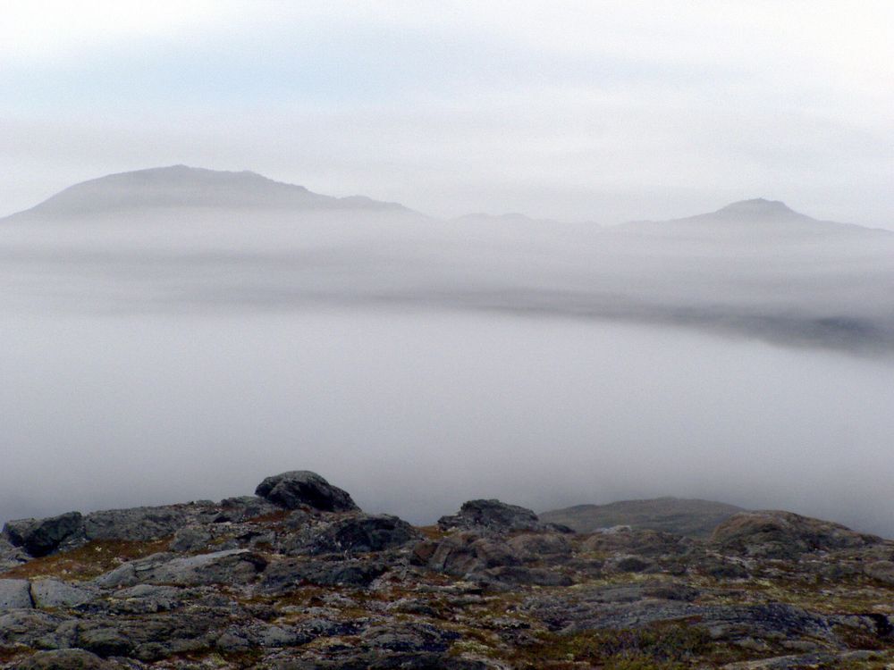 Foggy view of the Northern Peninsula Coast of Newfoundland.