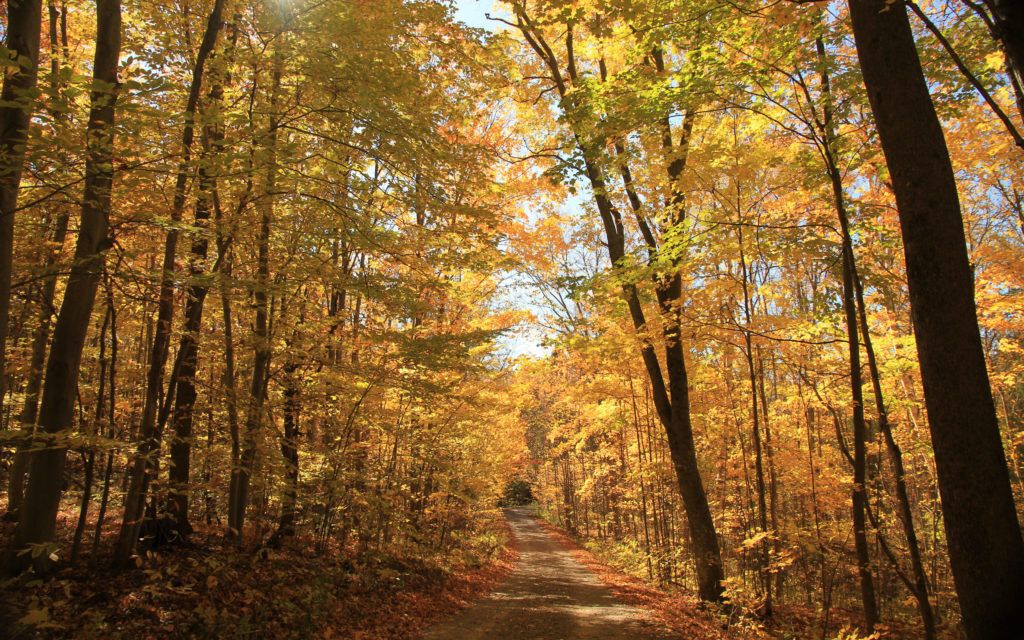 Belmont Lake, Ontario