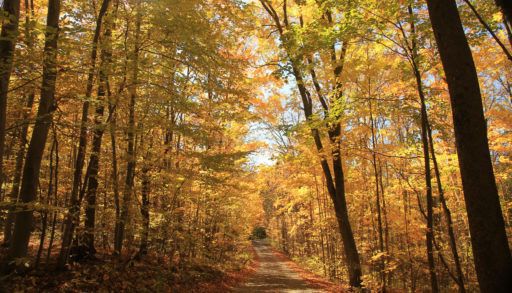 Belmont Lake, Ontario