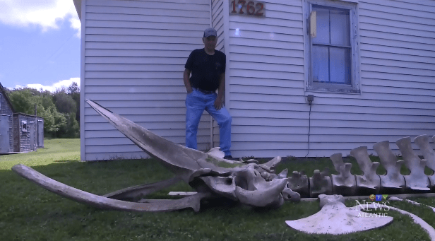 Delorey next to whale skeleton