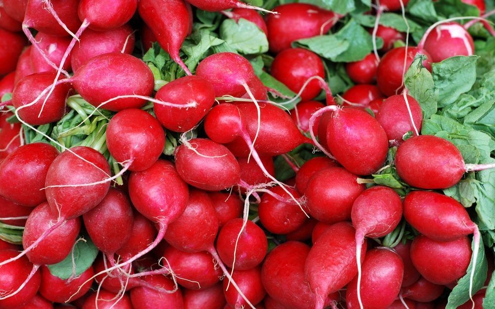 Radishes