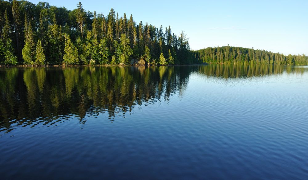 Clear and calm lake with a thick forest shoreline.
