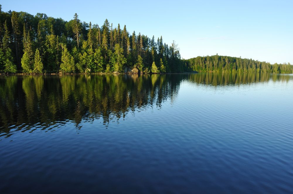 Clear and calm lake with a thick forest shoreline.