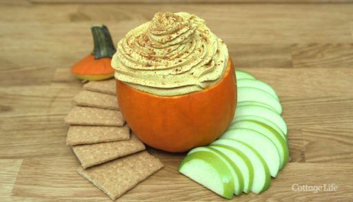 pumpkin spice cheesecake dip