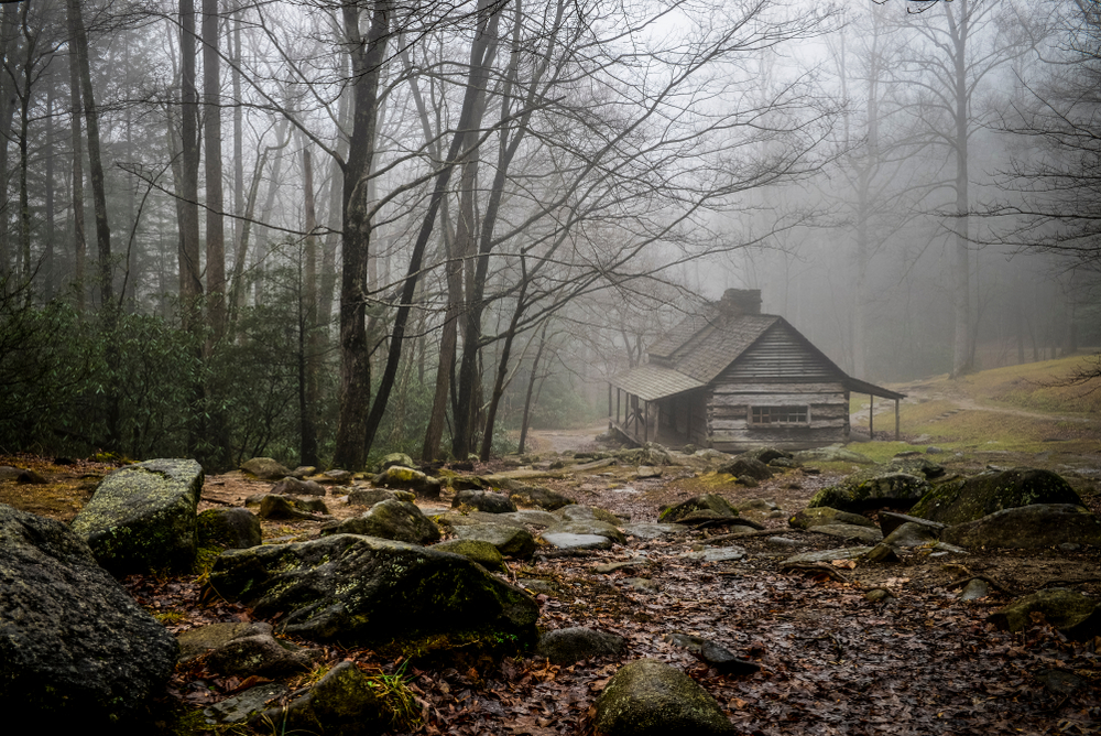 Scary old cabin in the woods with a layer of fog hanging around.