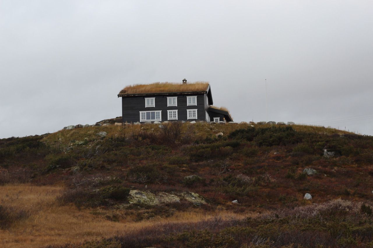 cottage with live roof