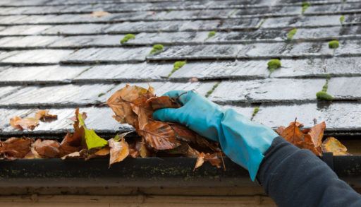 Person wearing blue gloves cleaning evastroughs.