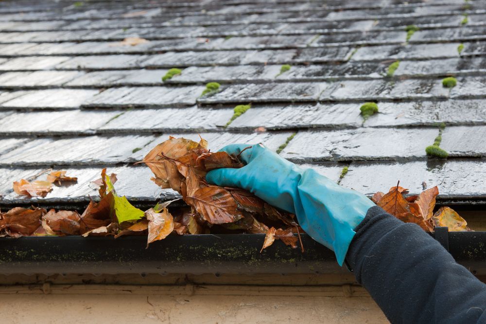 Person wearing blue gloves cleaning evastroughs.