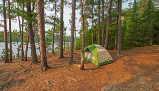 Green tent in the forest by a lake.