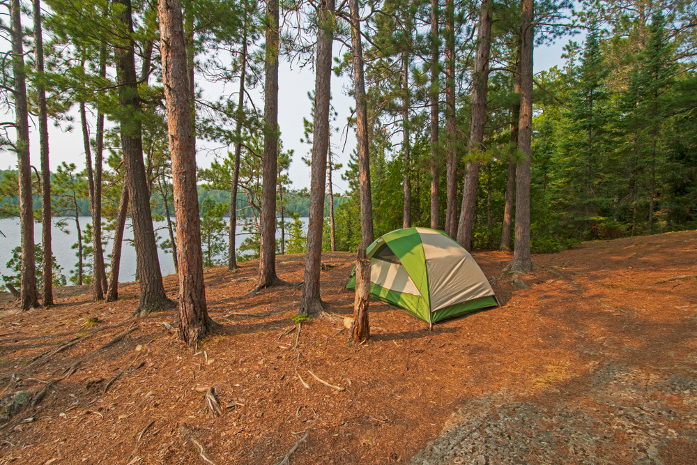 Green tent in the forest by a lake.