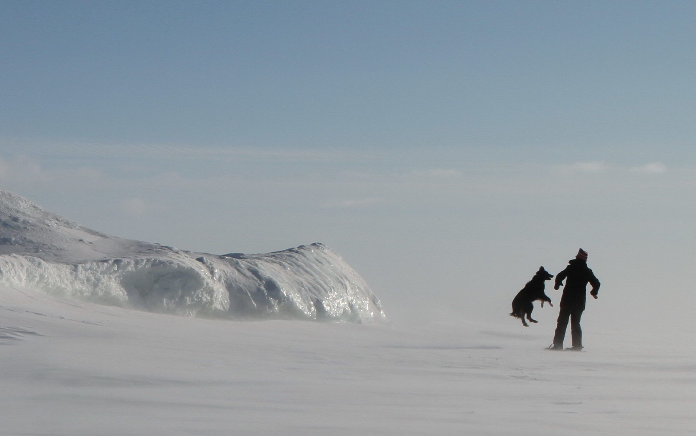 Skipper loves sticks
