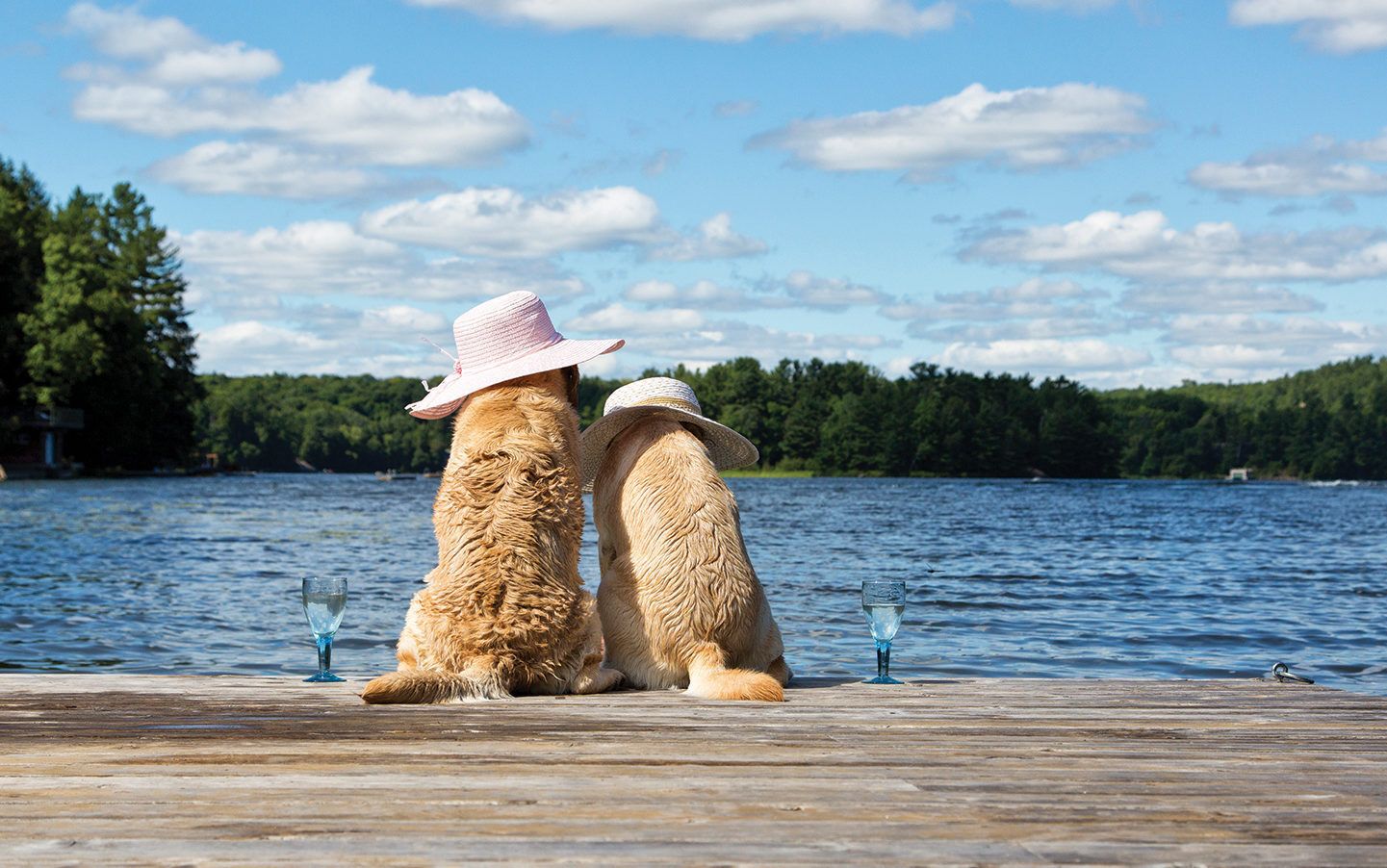 Keeping out of the sun