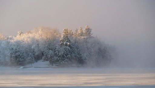 Winter morning mist
