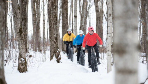 Three people riding bikes on a trail in a forest in the winter.