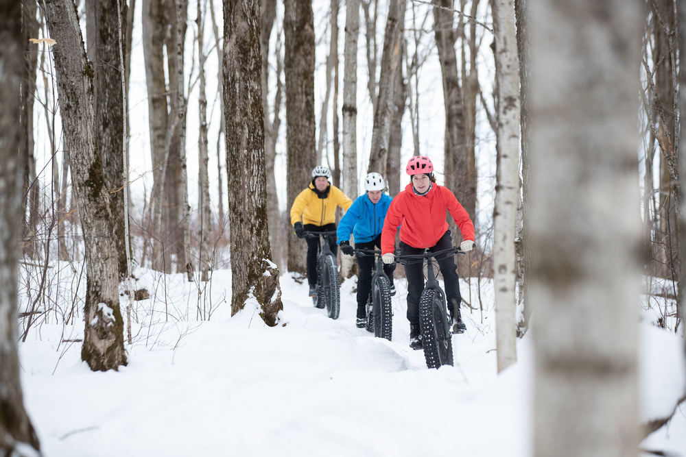 Three people riding bikes on a trail in a forest in the winter.