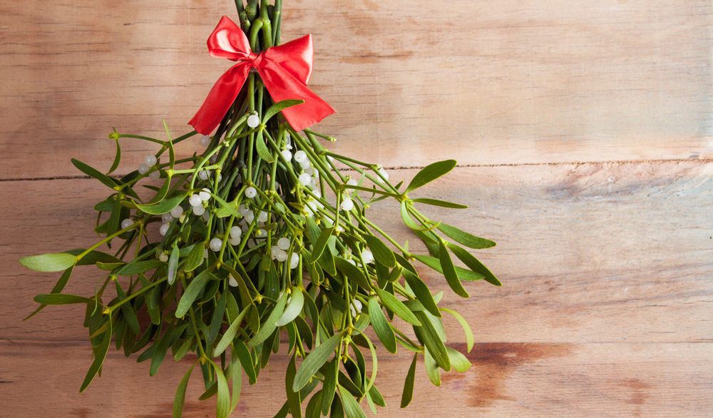 Hanging green mistletoe with a read bow at the base against a wooden background.